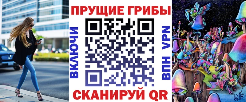 Псилоцибиновые грибы Psilocybe  Королёв 